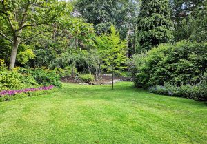 Optimiser l'expérience du jardin à Mesnil-Lettre